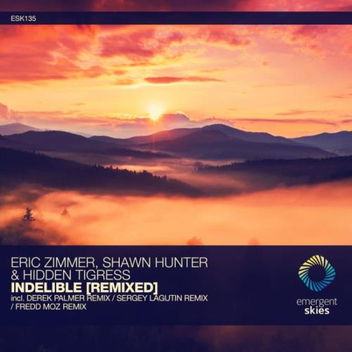VA - Eric Zimmer x Shawn Hunter & Hidden Tigress - Indelible (Remixed) (2022) (MP3)