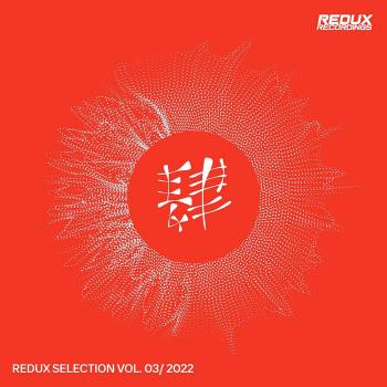 VA - Redux Selection Vol 3 / 2022 (2022) (MP3)