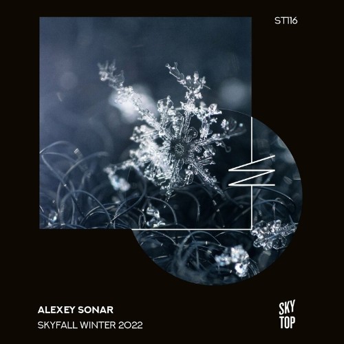 VA - Alexey Sonar - SkyFall Winter 2022 (2022) (MP3)