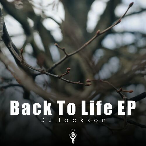 DJ Jackson - Back to Life (2022)