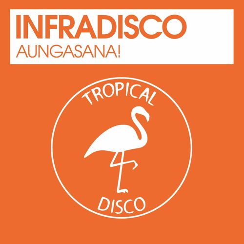 VA - Infradisco - Aungasana! (2022) (MP3)