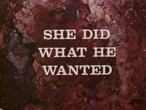 She Did What He Wanted - WEBRip/HD
