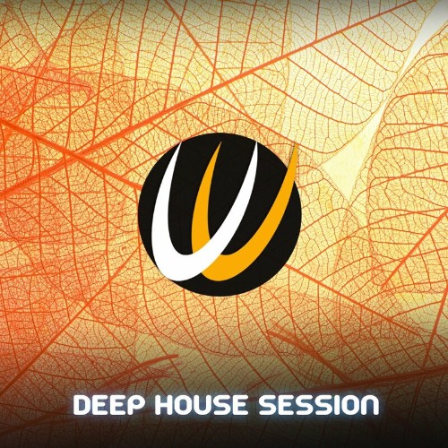 VA - Deep House Session 1 (2022) (MP3)