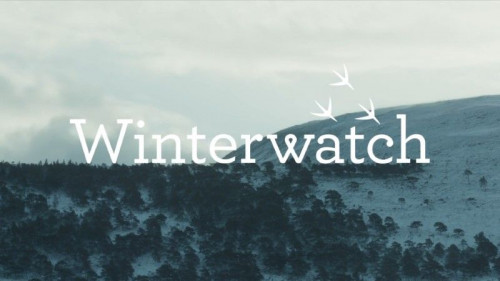 BBC - Winterwatch (2022)