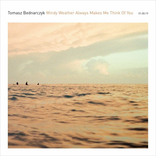 VA - Tomasz Bednarczyk - Windy Weather Always Makes Me Think Of You (2022) (MP3)