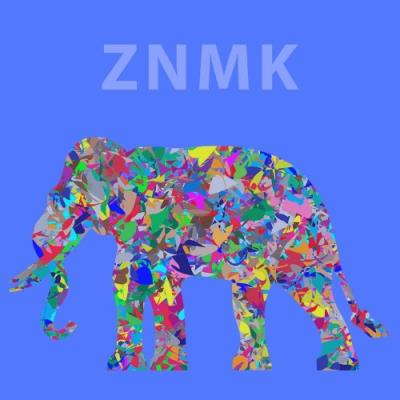 VA - ZNMK - Culture of Sound (2022) (MP3)