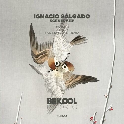 VA - Ignacio Salgado - Scenery (2022) (MP3)