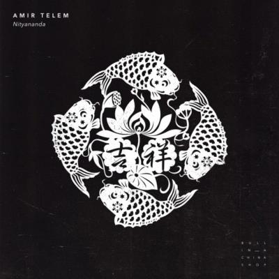 VA - Amir Telem - Nityananda (2022) (MP3)