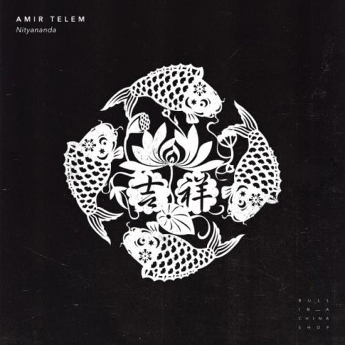 VA - Amir Telem - Nityananda (2022) (MP3)