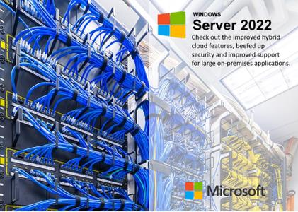 Windows Server 2022 LTSC, Version 21H2 Build 20348.524 (x64)