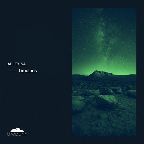 VA - Alley SA - Timeless (2022) (MP3)