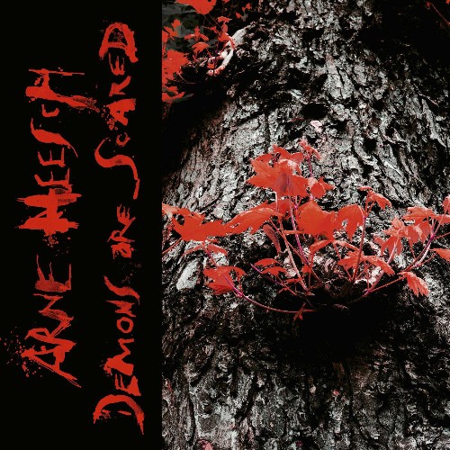 VA - Arne Heesch - Demons Are Scared (2022) (MP3)