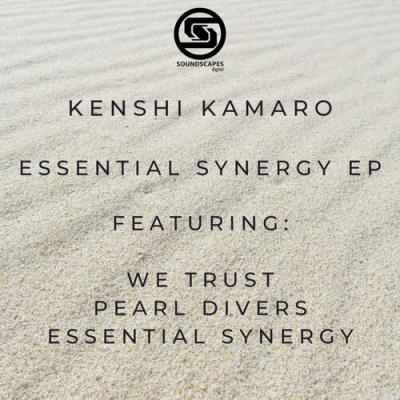 VA - Kenshi Kamaro - Essential Synergy (2022) (MP3)