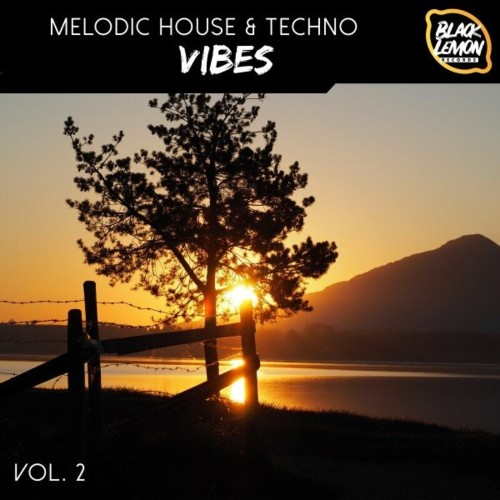 VA - Melodic House & Techno Vibes, Vol. 2 (2022) (MP3)