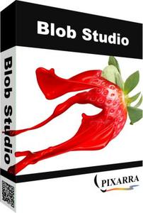 Pixarra TwistedBrush Blob Studio 4.10