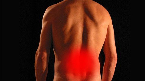 Udemy - Back Pain Management & Treatment Specialist Course