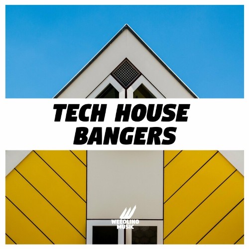 VA - Tech House Bangers (2022) (MP3)