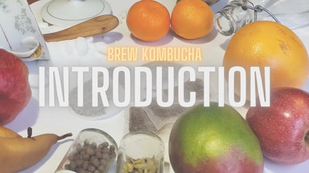 Brew Kombucha - Great Flavoured Beverage to Drink and Share