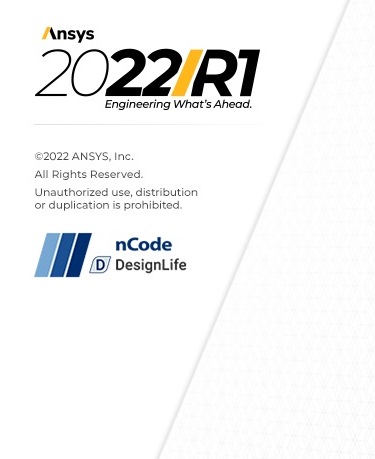 ANSYS 2022 R1 nCode DesignLife (x64)