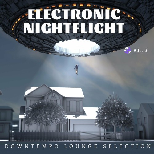 VA - Electronic Nightflight, Vol. 3 (Downtempo Lounge Selection) (2022) (MP3)