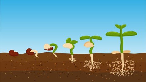 Udemy - Biology Plant Growth & Development