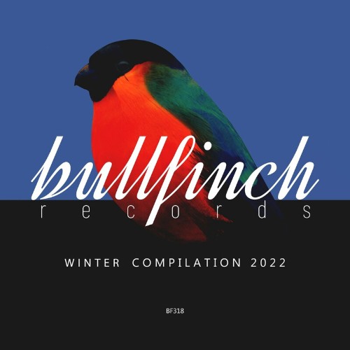 VA - Bullfinch Winter 2022 Compilation (2022) (MP3)