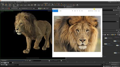 Sara Hansen - Grooming Lion Fur in Houdini