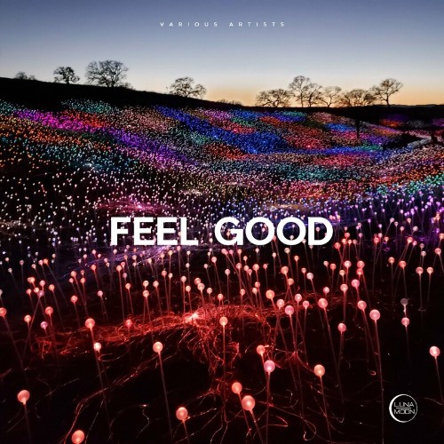 VA - LunaMoon - Feel Good (2022) (MP3)