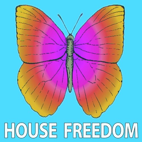 VA - House Freedom - Finding (2022) (MP3)