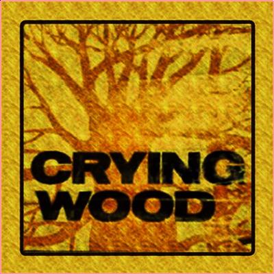 Crying Wood   Back To The Mountains (1970)⭐MP3