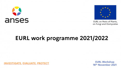 EURL - Work in Progress (2021)