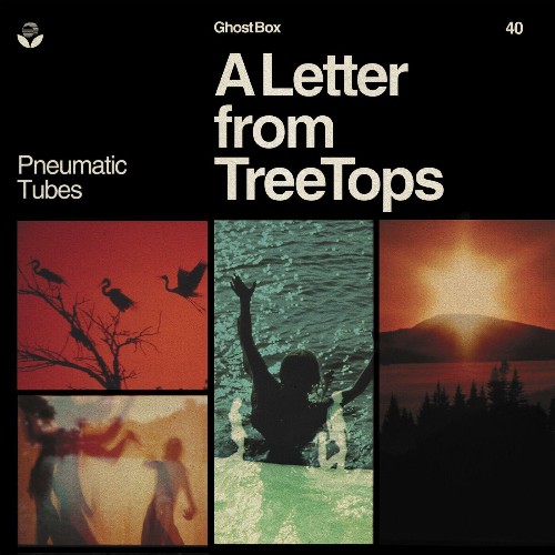 VA - Pneumatic Tubes - A Letter from TreeTops (2022) (MP3)