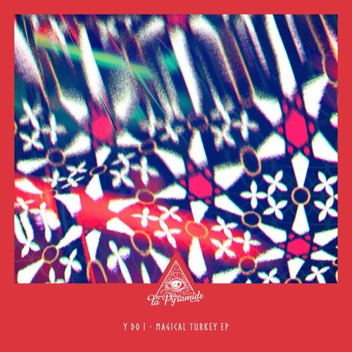 VA - Y do I - Magical Turkey (2022) (MP3)