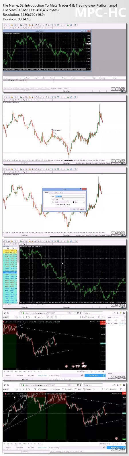 Forex Chasers - FX Chasers 3.0