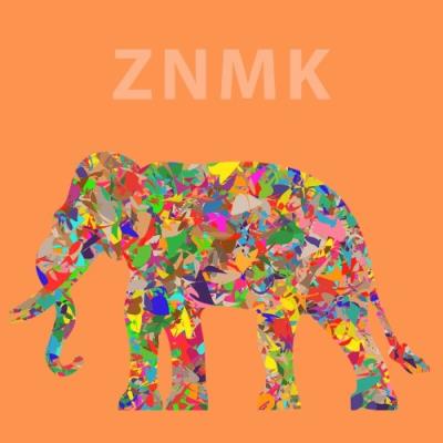 VA - ZNMK - Big Contribution (2022) (MP3)