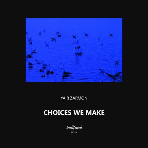 Yair Zarmon - Choices We Make (2022)
