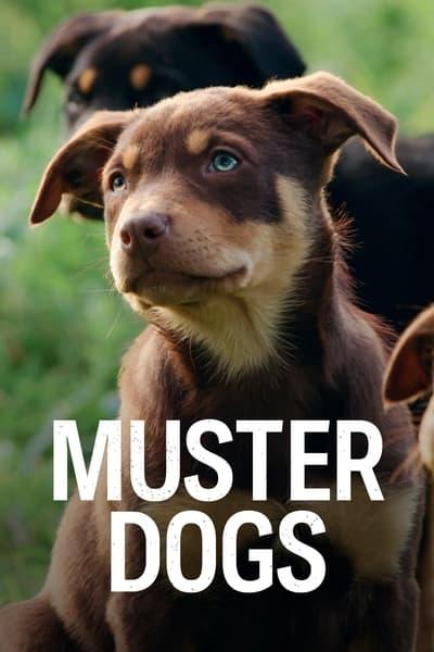 Muster Dogs S01E04 1080p HEVC x265 