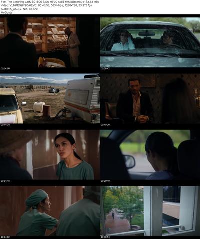 The Cleaning Lady S01E06 720p HEVC x265 