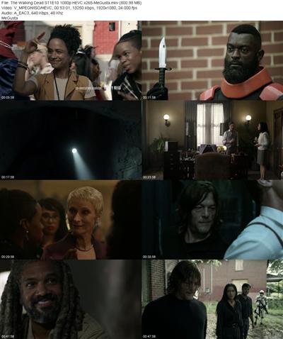 The Walking Dead S11E10 1080p HEVC x265 