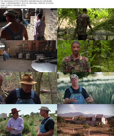 Moonshiners S11E15 720p HEVC x265 