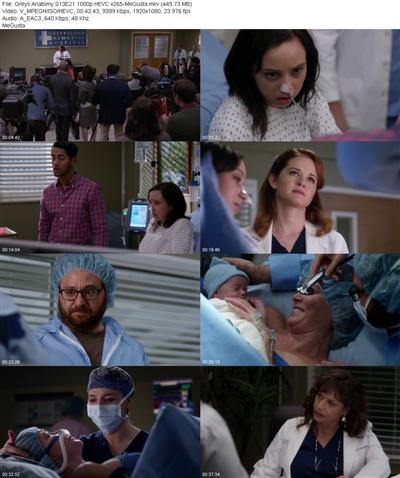 Greys Anatomy S13E21 1080p HEVC x265 