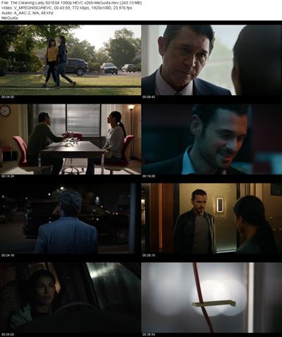 The Cleaning Lady S01E04 1080p HEVC x265 