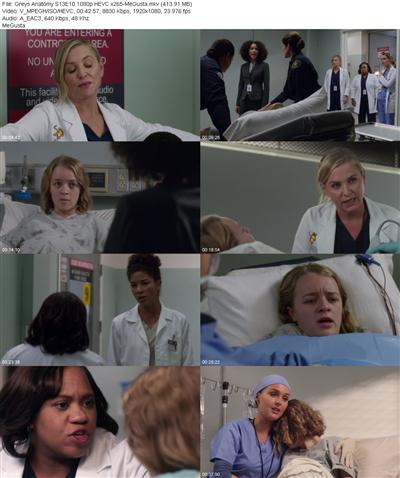 Greys Anatomy S13E10 1080p HEVC x265 