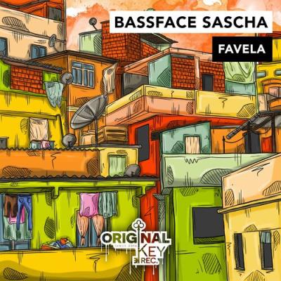 VA - Bassface Sascha - Favela (2022) (MP3)