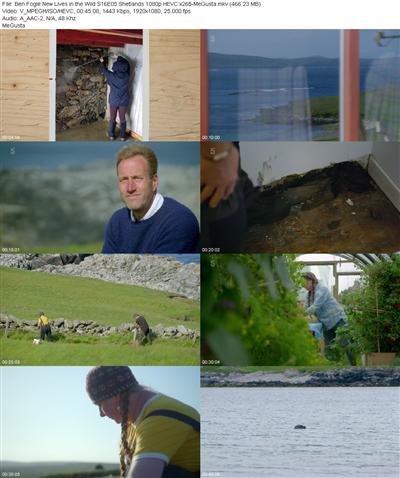Ben Fogle New Lives in the Wild S16E05 Shetlands 1080p HEVC x265 