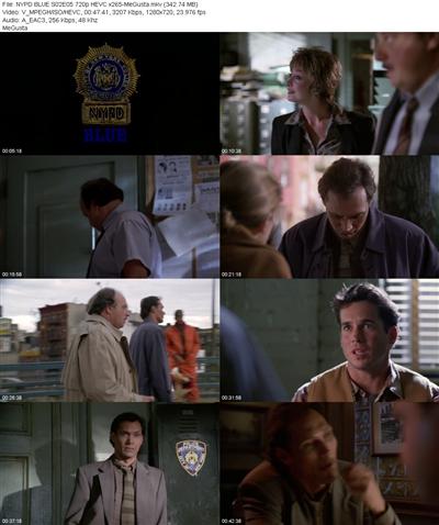 NYPD BLUE S02E05 720p HEVC x265 