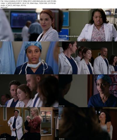 Greys Anatomy S13E19 1080p HEVC x265 