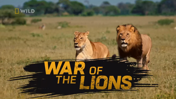 Lwie wojny / War of the Lions (2022) PL.DOCU.1080i.HDTV.H264-TVmaniak | Polski Lektor