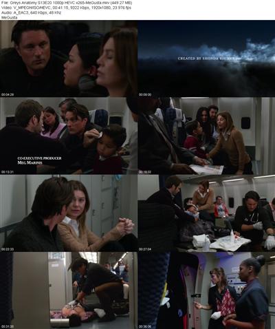 Greys Anatomy S13E20 1080p HEVC x265 