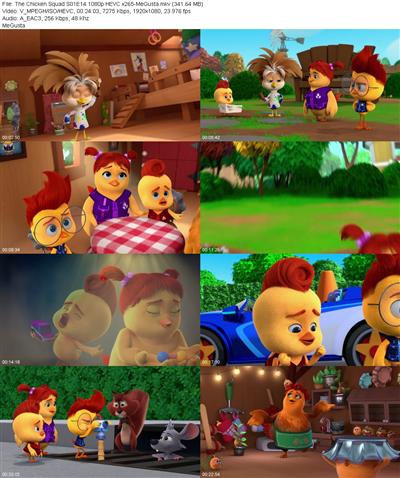 The Chicken Squad S01E14 1080p HEVC x265 